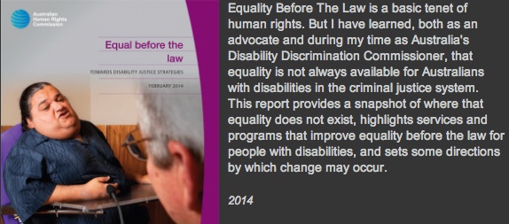 장애차별위원장이 2014년 2월 장애인들이 법 앞에서 불평등을 겪어야 했던 사례들을 모아 펴낸 보고서 