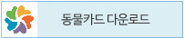 동물카드보기